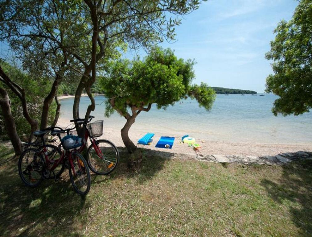 Ferienwohnung Casa Leona Rovinj Exterior foto